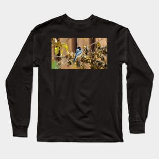 Black-capped Chickadee Perched On A Branch Long Sleeve T-Shirt